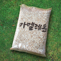 머신 카멜레온 1봉