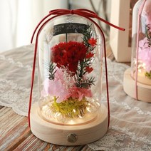 다우에프앤지 프리저브드 플라워 유리돔 무드등 + 쇼핑백 + 용돈봉투
