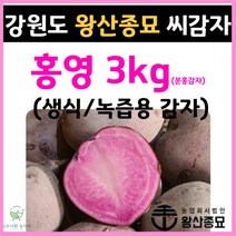 왕산종묘 홍색 씨감자 [ 홍영 3kg ] 생식용 감자 녹즙용 감자 분홍색 감자 감자씨앗 햇감자 정품씨감자 대서 두백 홍영 자영 백작 왕산 수미 씨감자 강원도 씨감자, 홍영 3kg ( 생식 / 녹즙용 씨감자 )