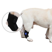 DOG 강아지 산책 개 다리 슬개골 깁스 보호대 1P 1개, 1애견슬개골보호대-S