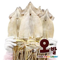 [오발] 국내산 마른오징어 2Kg급 1축 20마리, 2kg, 1개