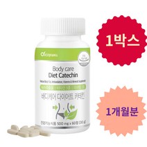 다이어트 카테킨 녹차추출물 항산화 직장인 비타민B