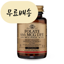 [해외] 솔가 엽산 400 250정, 엽산 400mg 250정, 1개
