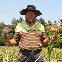 대왕 코끼리마늘 웅녀 마늘 식용 종자 주아 1kg, 코끼리마늘 1kg 식용