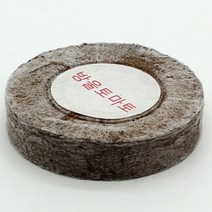 방울 토마토 모종 당뇨에좋은과일 효능 도마토 심기 키우기 유기농 씨드쿠키