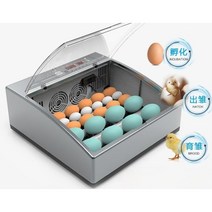 계란부화기 자동 병아리 인큐베이터 가정용 조류 부화 거위 오리, 6란-색상랜덤