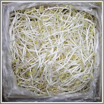 황토 숙주나물 1박스 나물반찬 명절음식 채소 야채 3.5kg