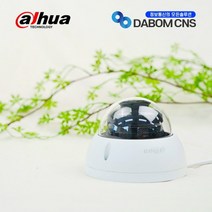 다후아 IPC-HDBW2231EN-S-S2 2.8 실내 CCTV DH131I