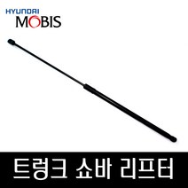 올뉴카니발 트렁크쇼바 리프터 81771A9000 81781A9000, 조수석쪽_81781A9000