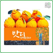 [신선연구소]gs특가 당도선별 한라봉 한라봉 4kg (18-27과), 단품