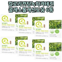 식약처인증 녹차다이어트 녹차추출물 카테킨 체지방컷팅 뱃살다이어트 비오틴 아랫뱃살 다이어트카테킨 6통