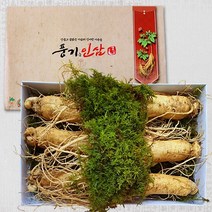 [풍기인삼] 6년근 풍기수삼(왕대) 750g(5~6뿌리), 원수삼(왕대) 750g(5~6뿌리), 1박스