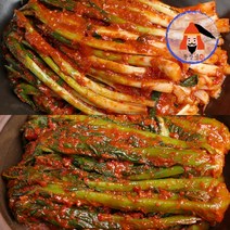 [황장군] 당일제조 여수 전라도 파김치 돌산 갓김치 1kg 2kg 3kg, 3kg 파