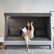 비앙스 하이드웰 소파, 퍼퓰러그레이