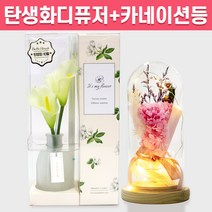 탄생화 디퓨저 선물 세트 10월 탄생화 카라 + 카네이션 무드등 부모님 어버이날 선생님 엄마 장모님 생신 환갑 칠순 생일 집들이 선물 실내 디퓨저 실내 방향제 디퓨져, 청포도, 핑크, 500ML