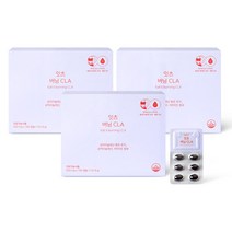 네츄럴굿띵스 잇츠 버닝 CLA 공액리놀레산 감마리놀렌산 다이어트 560mg x 180캡슐, 3박스 (3개월분), 3개, 180정
