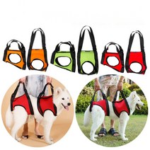 강아지 걸음연습 의족 스트랩 반려견 관절보호, 02.M-중형, 01.녹색 앞다리