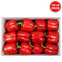 [맛다름] [가락시장 경매 식자재 채소] 파프리카 5kg내외(22~30개입) 빨강, 1box, 5kg내외(25~30개입) 빨강