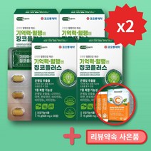 징코플러스 기억력개선 혈액순환 은행잎추출물 플라보노이드 코오롱제약, 2박스+리뷰사은품