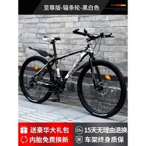 자토바이 자전거 2인용 드라이브 배달용 킥보드 스쿠터 출퇴근 헬맷 이륜, 21단, 블랙, 스틸