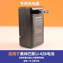 라이카 폴라로이드 카메라 오리지날 배터리 sofort BP-DC17 충전기, 가정용 충전기