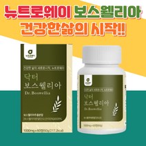 건강 닥터 보스웰리아 인도산 보스웰릭산 치커리 추출 카로틴 비타민B2 엑디스테론 사포닌 칼슘 비타민D 셀레늄 가족 추천 유향나무 셀레늄 가족 추천 마그네슘 조깅 선생님 계단