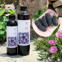 농부프린스 오디청 오디원액 오디즙 오디효소 오디액 300ml, 500ml