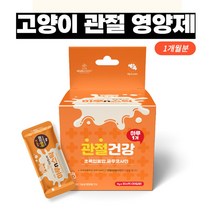 라이튼 고양이 관절 피부 요로 영양제, 관절영양제
