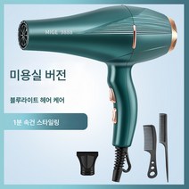 전기 드라이기 가정용 대풍 음이온 헤어 케어 무음 미용실 전용 고출력 속건 남성 드라이기, 녹색머리살롱블루라이트음이온헤어케어구매시