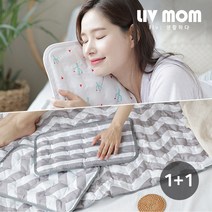 [KT알파쇼핑]리브맘 쿨매트 쿨베개 1+1, 05.댕댕이