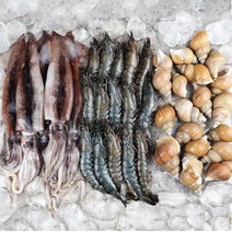 제철수산물 해물모둠 해물파티 모둠해물 3종, 초코오징어+블랙타이거새우+백고동_3종세트