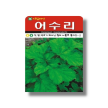 약초 씨앗 50립 왕의 나물 어수리씨앗 산채종자 /아람종묘, 1개