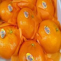 (제주)레드향 (15과내외) 3kg, 레드향(15과 내외) 3kg