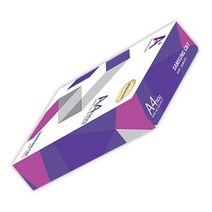 삼성 프리미엄 에이플러스 A4용지 80g 500매 복사용지