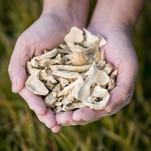 국산 건생강(건강) 200g 말린 생강 차 효능 한방재료 한약재 한방차, 12R7_국산 말린생강(건강) 200g