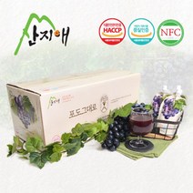 산지애 포도원액주스 50팩 포도즙 100% 착즙 NFC, 단일상품_수량_상세페이지참조