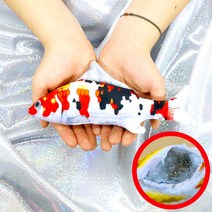고양이 캣닢 쿠션 물고기 인형 장난감 용품 20cm 비단잉어, 단품