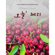 생 체리 당도 프리미엄 5kg 항공직송 신선 보장 왕체리, 1개, 상세페이지 참조, 상세페이지 참조