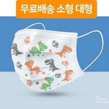비말차단 대형 소형 판매 구매 구입 싼곳 3d 항균 입체 나노 필터 1회용 덴탈 마스크 50매, 성인용 화이트 1박스(50매)