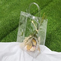 오너클랜 PVC 투명 똑딱이 백 S_WABDD77