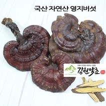 국산 자연산 영지버섯300g, 상 600g