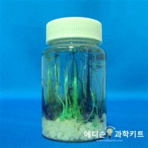 화학정원만들기(6인용)