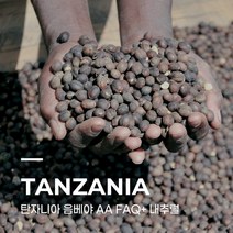 [생두] 탄자니아 음베야 AA FAQ+ 내추럴 10kg