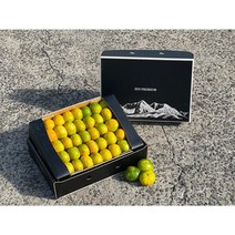 [빛나는 제주] 고당도 하우스감귤 제철 하우스 가정용 추석 명절 선물세트 3kg 5kg, 3kg 하우스감귤 로얄과 선물포장