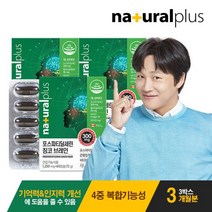 내츄럴플러스 포스파티딜세린 징코 브레인 3박스 +쇼핑백1호, 단품, 단품
