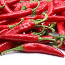 홍고추 5kg 팔팔마켓 빨간고추 물고추 판매, kg