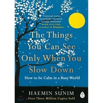 Things You Can See Only When You Slow Down : How to be Calm in a Busy World, Penguin Books Ltd (UK)