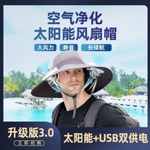 태양열선풍기모자 USB 충전식 농사 텃밭 선풍기 팬 태양 충전 모자 여름 성인 들어 갔어 큰 가장자리 남자 야외 하이킹, [01] 업그레이드 버전: 공기 정화 기능 + 팬 캡