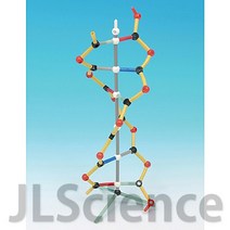 [JLS] 소형DNA 분자구조키트