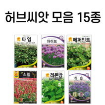 허브 씨앗 페퍼민트 바질 등 10여가지 카모마일 라벤더 씨, 페퍼민트100립